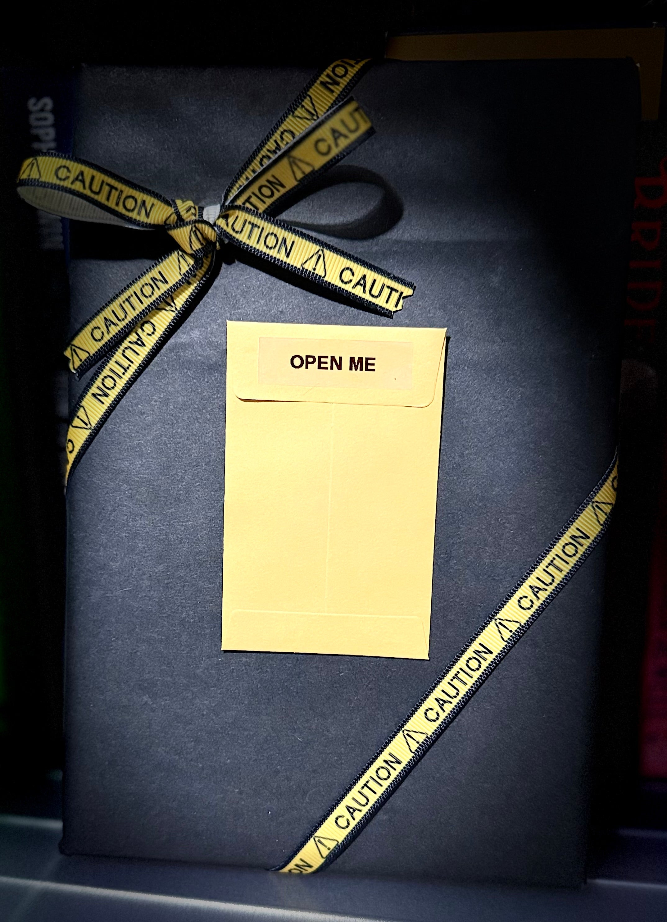 The Case File - Blind Date With A Book