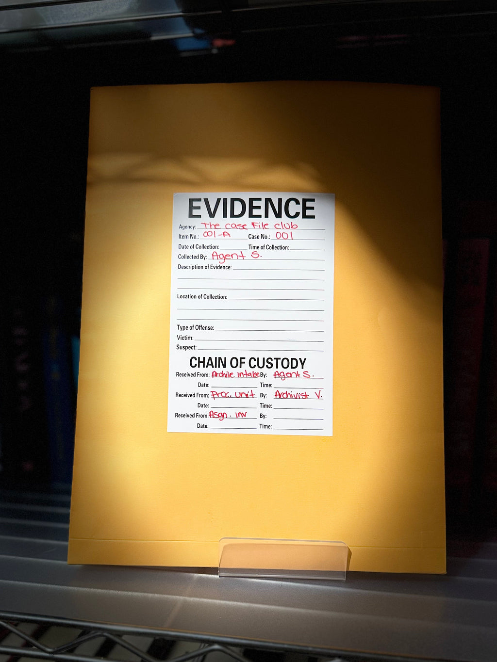 The Case File - Blind Date With A Book